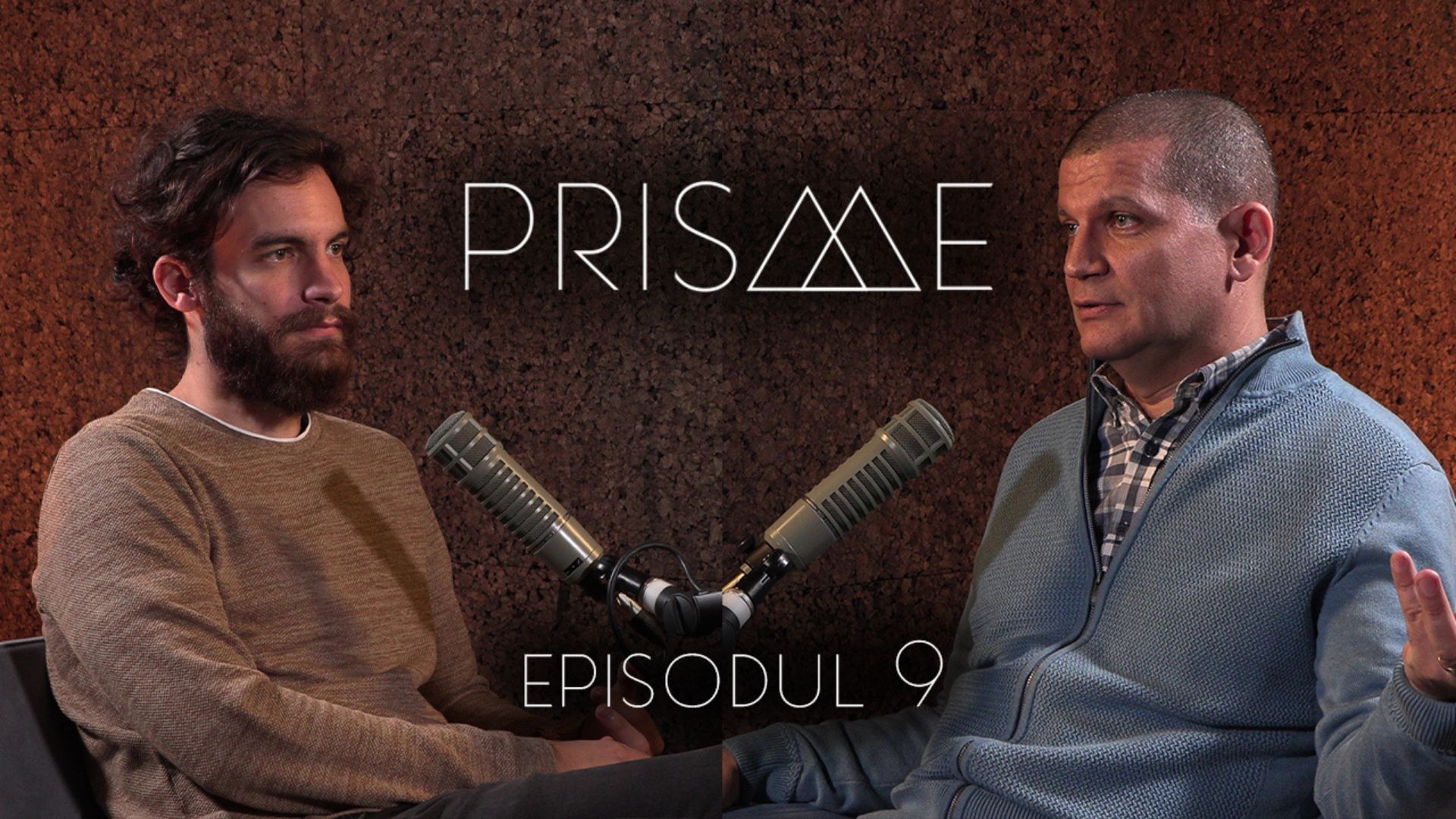 Prisme.09 – Dan Pîrvu