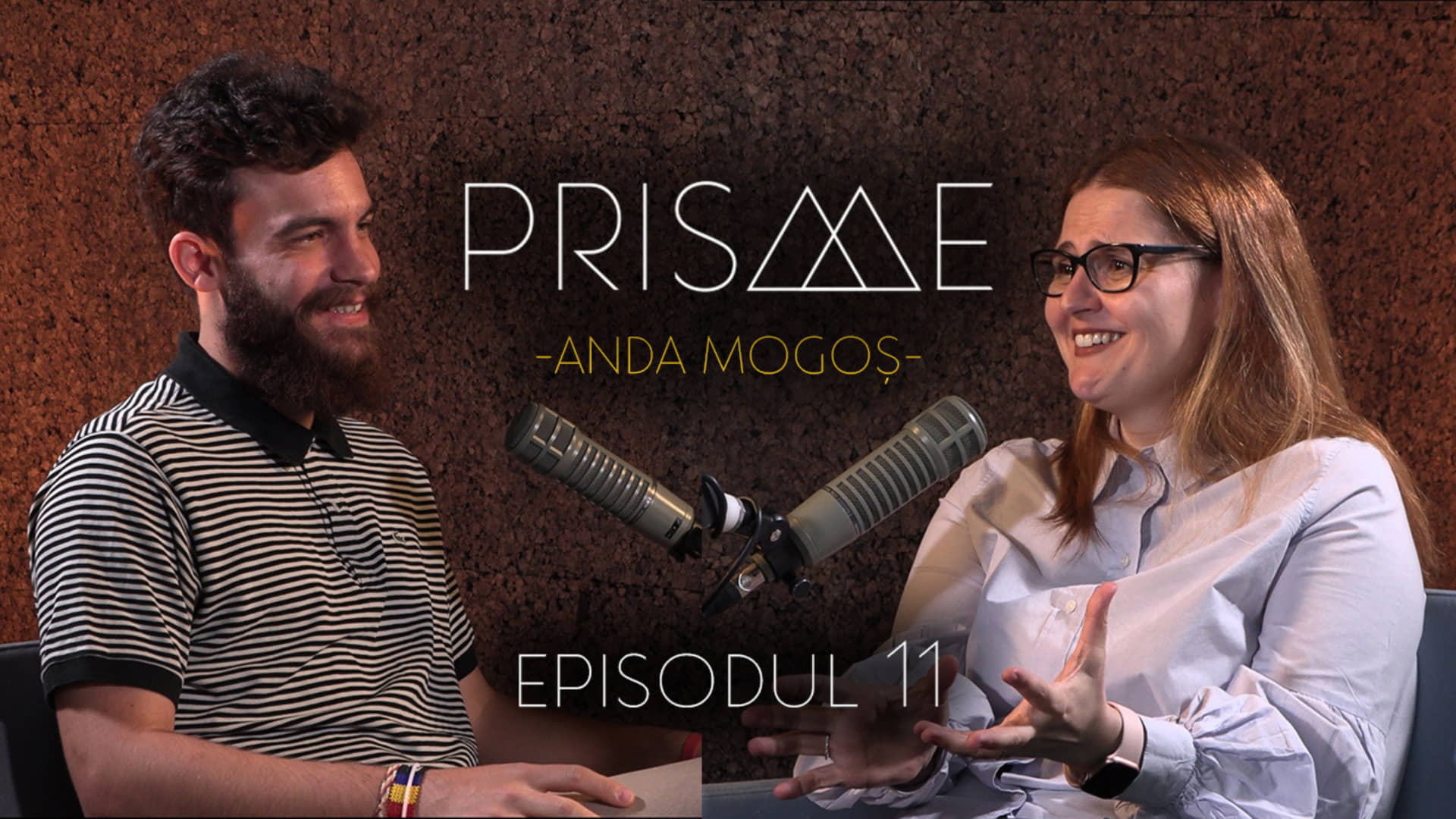 Prisme.11 – Anda Mogoș